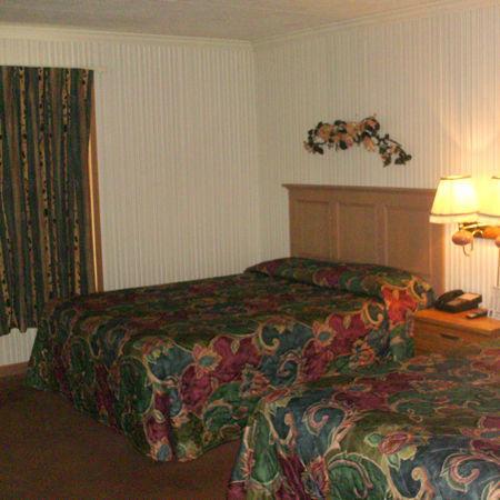 Village Inn Motel - Berrien Springs Exterior photo
